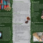 BHO_Dabbing-back__62452_zoom