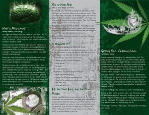 Marijuana 3 panel-back