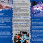 PSS-DA-19 Pregnancy & Drugs-back