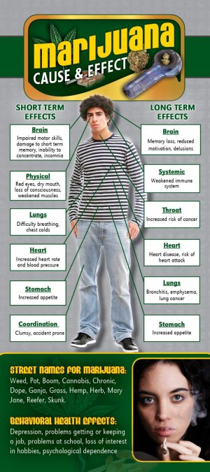 1 - Marijuana Cause & Effect Front