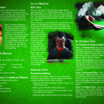 College gambling-back