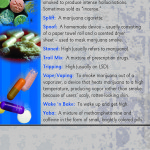 Drug Dictionary Rack Card Back