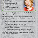 Fake Weed SPAN RC-front