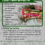 Krokodil Rack Cd Front