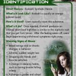 Krokodil Rack Cd Front