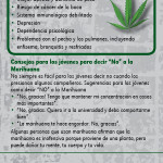 Marijuana SPAN RC-front