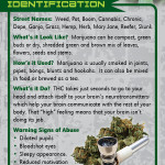 Marijuana SPAN RC-front