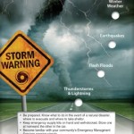 Natural Disasters 2082