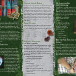 pss-da-42-ai-bho-dabbing-back