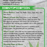 69-med-marijuana-rack-card-front