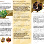 PSS-ST-03-How to Keep Kids Tobacco Free Pamphlet-BACK