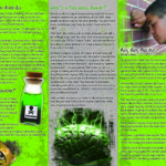 1 - Fake Weed 6 Panel Back