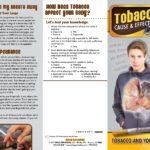 PAM-CE-02 Tobacco and the Body-BACK