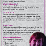 RACK-JTF-72 Hallucinogens -FRONT