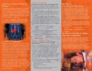 PSS-DA-32S-Binge Drinking-SPANISH-BACK