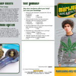 PAM-CE-03 Marijuana and Your Body-BACK