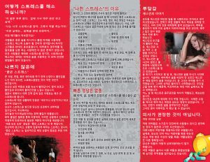 PAM-SSDA-33K-Dealing-with-Stress-KOREAN-NEW-FLAG