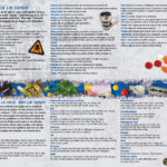 PAM-SSDA-34S-Drug-Slang-Dictionary-SPANISH-FLAG