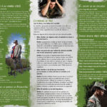 PAM-SSMIL-02S military suicide spanish