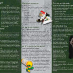 PAM-SSMIL-03S-PTSD-&-Military-SPAN-FLAG