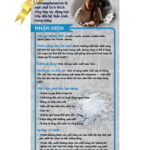 RACK-JTF-09V Meth UPDATED 2025 COVER