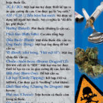 RACK-JTF-18V-Drug-Dictionary-Rack-Card-VIETNAMESE---FLAG