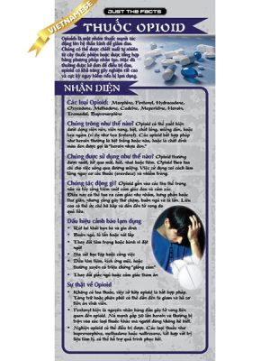 *VIETNAMESE* Just the Facts Rack Card: Opioids
