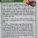 RACK-JTF-59V-Edible-Marijuana-Rack-VIETNAMESE-FLAG