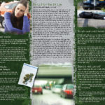 PAM-SSDA-49V-Marijuana & Driving-VIET-LO RES