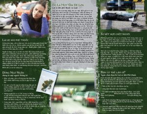 PAM-SSDA-49V-Marijuana & Driving-VIET-LO RES