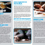 PAM-CE-05-Meth-COVER-NEW