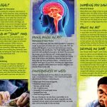 PAM-SSDA-65-Legal-Weed-COVER