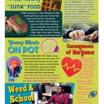 BAN-SSDA-66-LegalWeed-STAND-NEW-FLAG-LADY