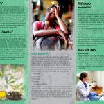 BAN-SSDA-67-CBD-Oil-package