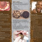 PAM-SSDA-67-Tobacco-Oral-Health-cover