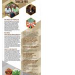 BAN-ST-03-How-to-Keep-Kids-Tobacco-Free-STAND