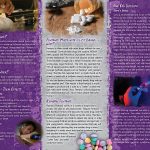 PAM-SSDA-73-Fentanyl-Cover