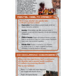 RACK-JTF-106 Alcohol + Mental Health WEB COVER