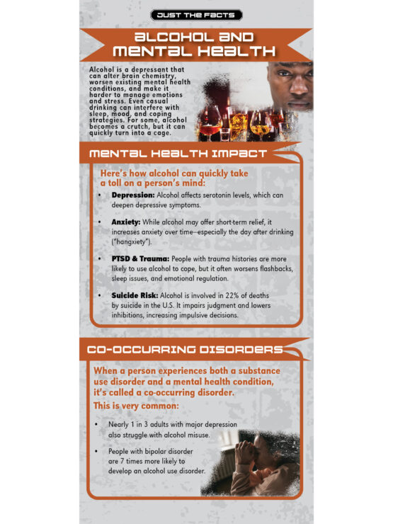 RACK-JTF-106 Alcohol + Mental Health WEB COVER