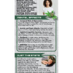 RACK-JTF-109 Marijuana and Mental Health WEB COVER