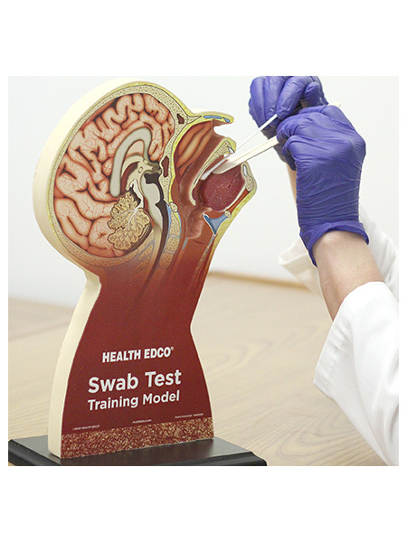 Swab Test Training Model