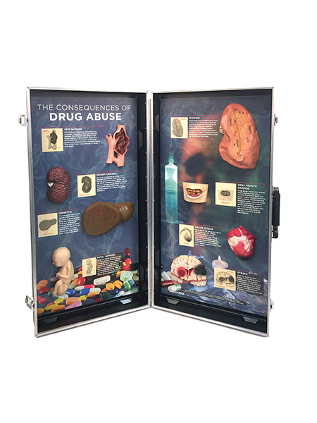 Drug Abuse Consequences 3-D Display