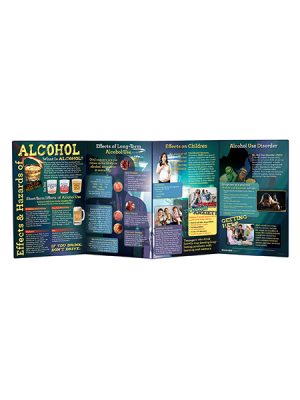Effects & Hazards of Alcohol Folding Display (4 Panel)