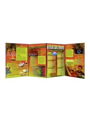 Effects & Hazards of Marijuana Folding Display