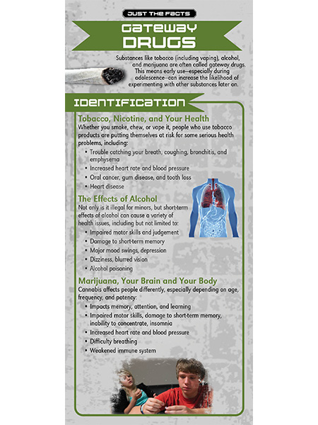 Just the Facts Rack Card: Gateway Drugs