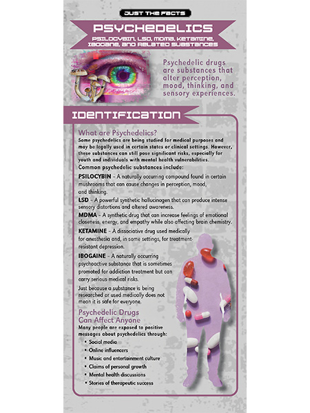 Just the Facts Rack Card: Psychedelics