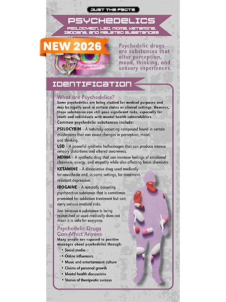 Just the Facts Rack Card: Psychedelics