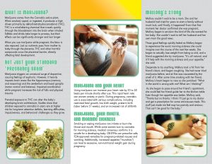 pam ce 06 pregnancy marijuana2 scaled 1.jpg